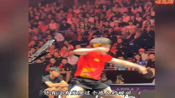 法国乒乓球队绝地反击英国乒乓球队，王皓完成帽子戏法