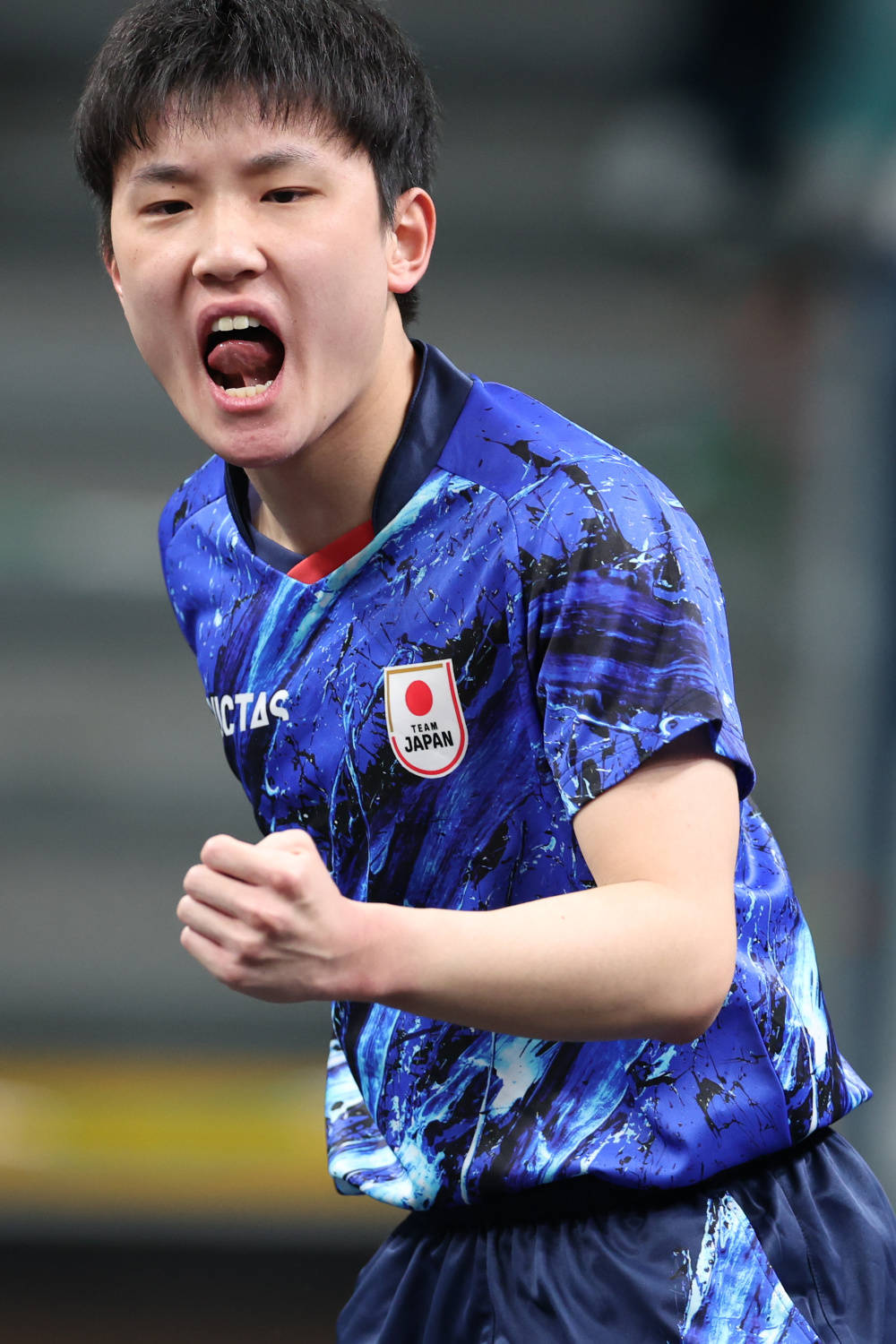 关于比利时乒乓球队强势日本乒乓球队，张本智和统治全场的信息