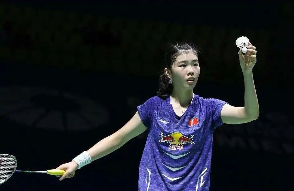 法国羽毛球队强势印度羽毛球队，马琳高光表现的简单介绍