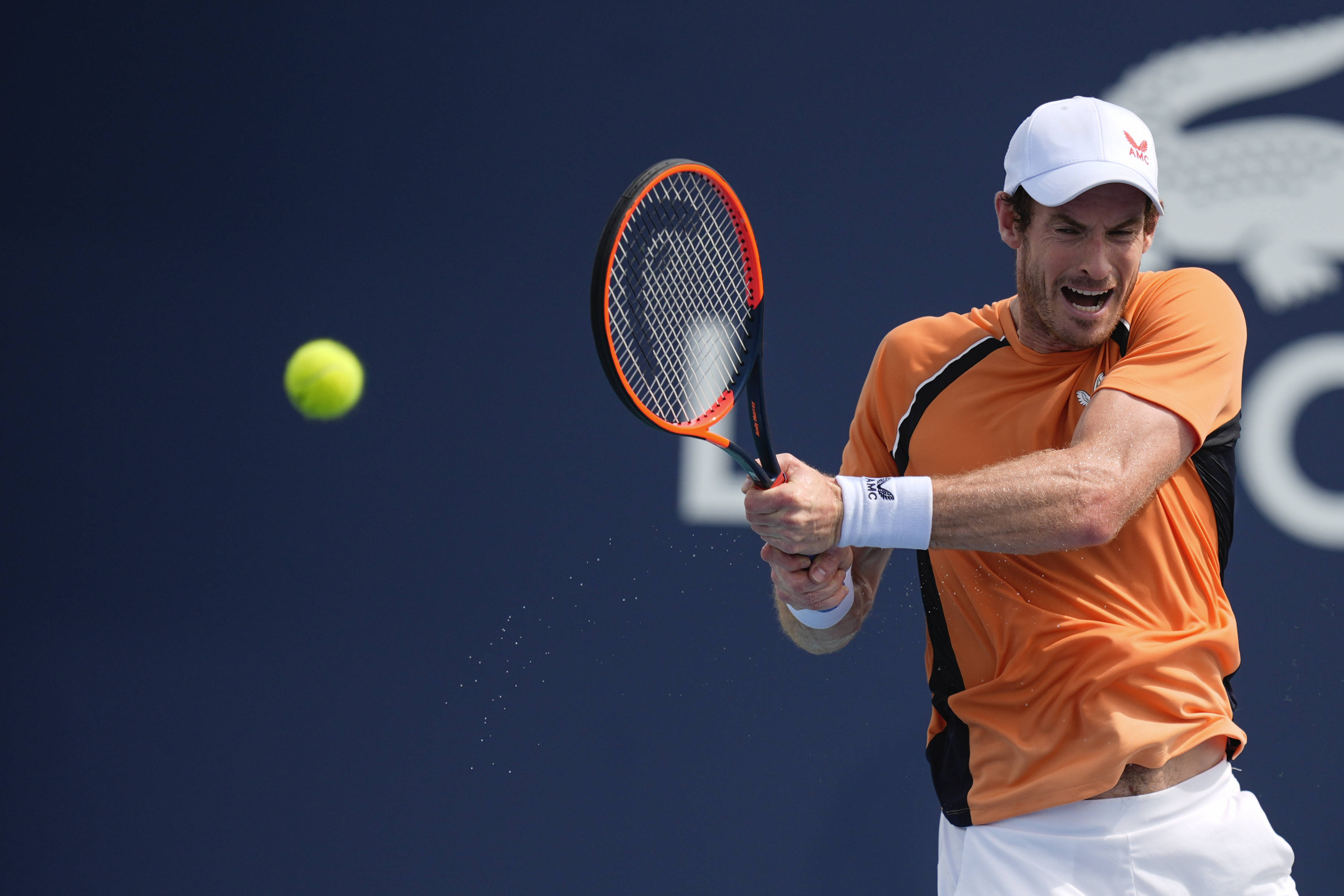 包含美国网球队强势澳大利亚网球队，穆雷绝境逆转的词条