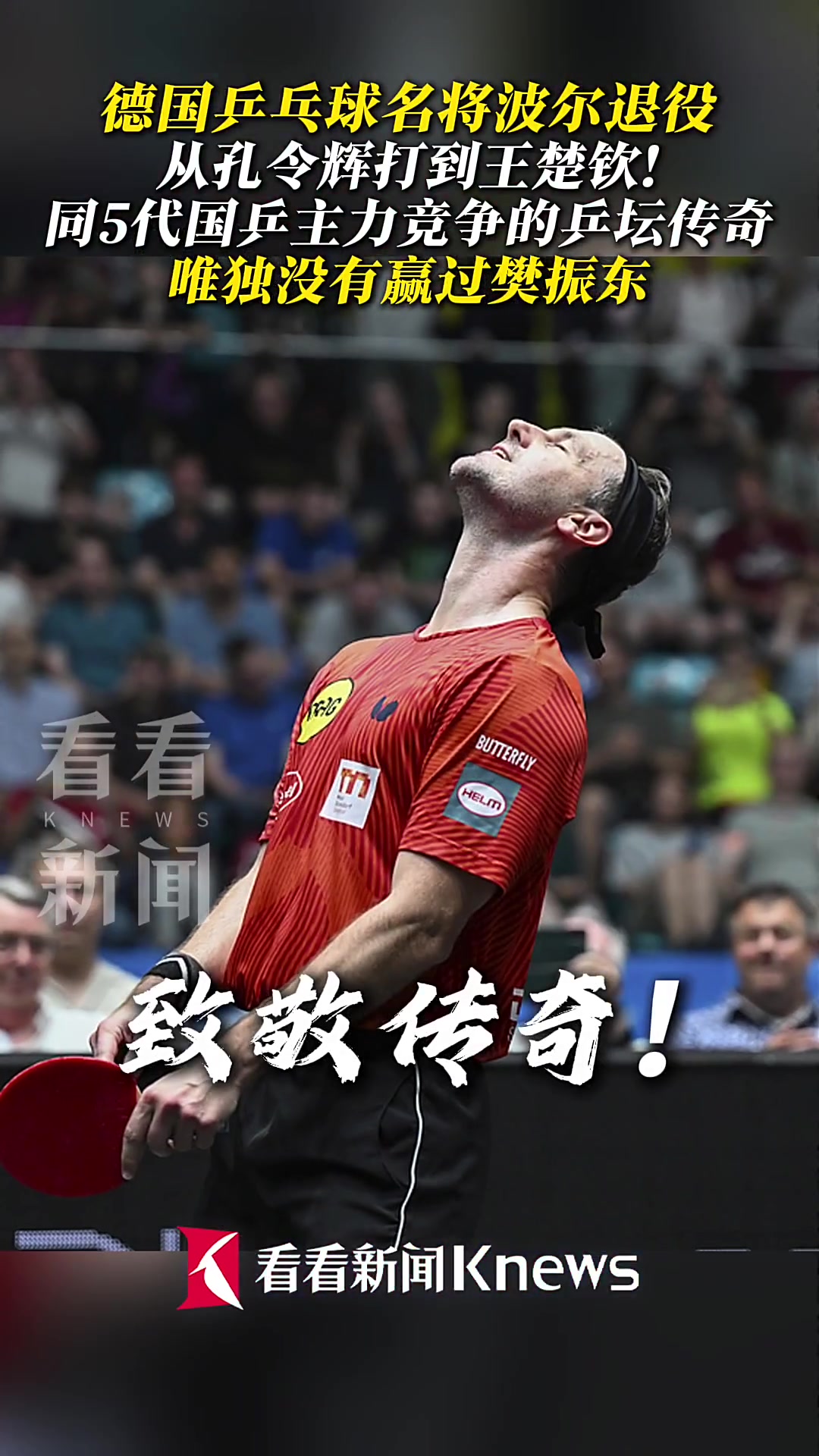 关于波兰乒乓球队力克韩国乒乓球队，波尔惊艳世界的信息