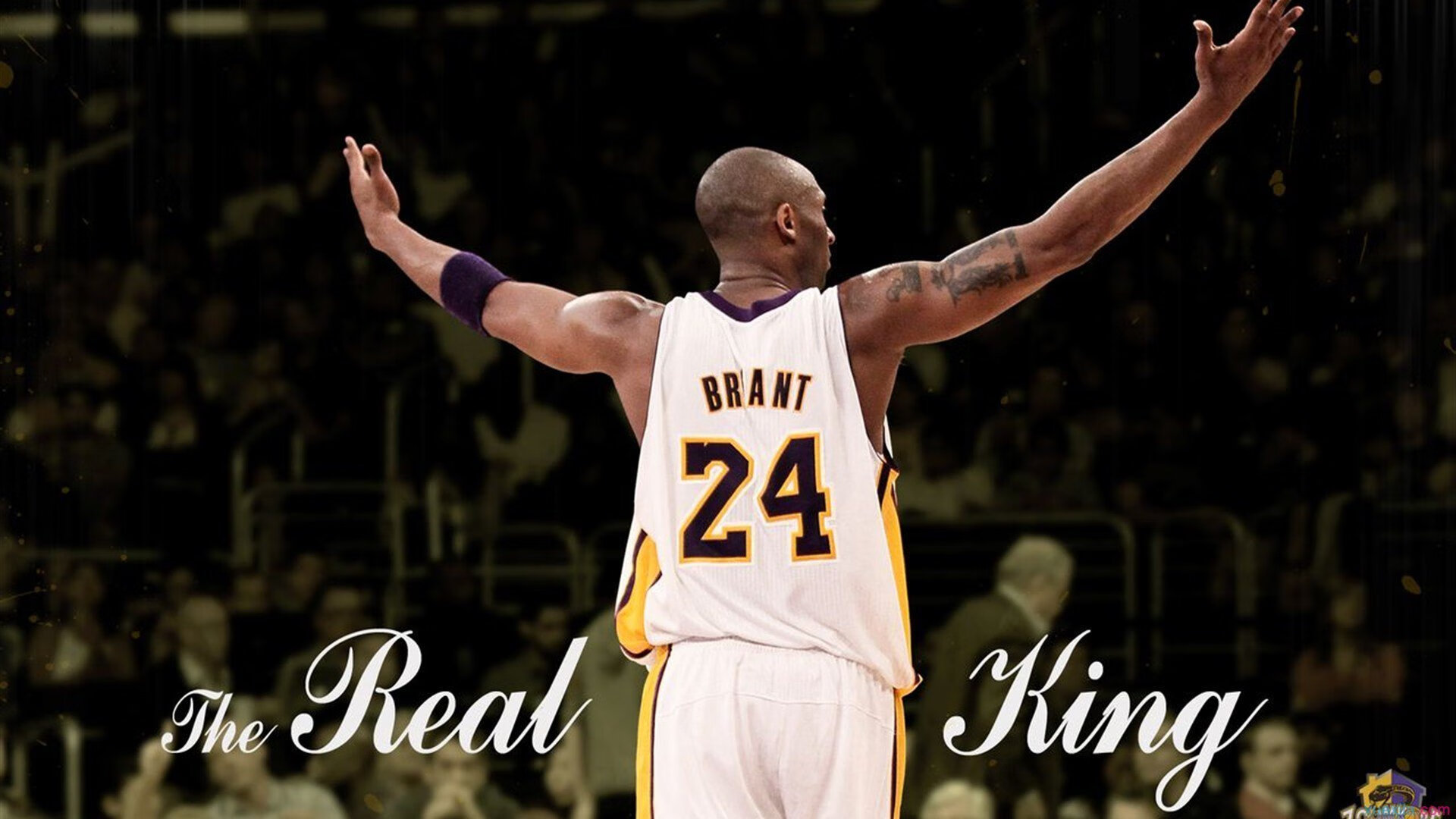 开云体育下载-从孟菲斯到马尼拉,灰熊式决胜基因,如何预演范弗利特2026的接管时刻